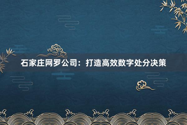 石家庄网罗公司：打造高效数字处分决策