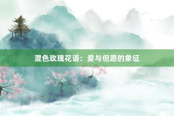 混色玫瑰花语:爱与但愿的象征