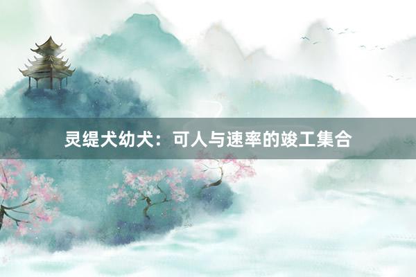 灵缇犬幼犬：可人与速率的竣工集合