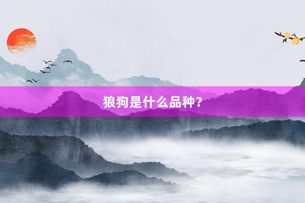 狼狗是什么品种？